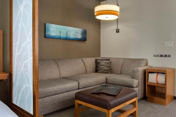 Hyatt Place Chicago/Downtown - The Loop image 40
