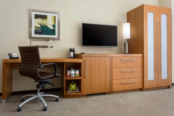 Hyatt Place Chicago/Downtown - The Loop image 42