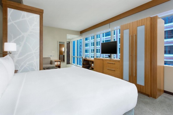 Hyatt Place Chicago/Downtown - The Loop image 95